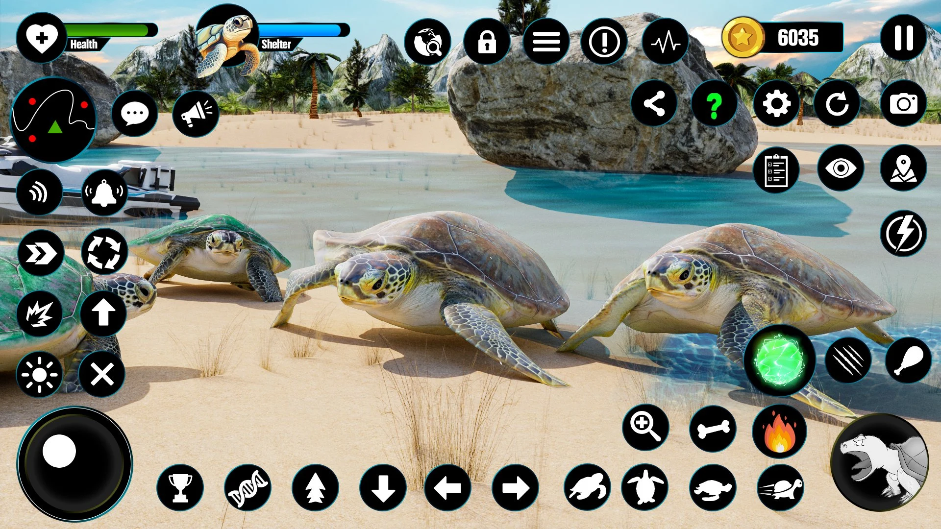 Wild Turtle Family Life games screenshot
