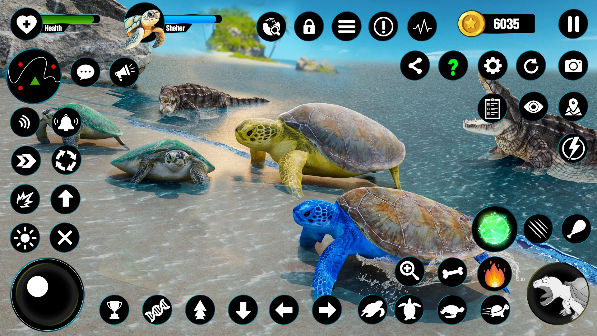 Wild Turtle Family Life games screenshot
