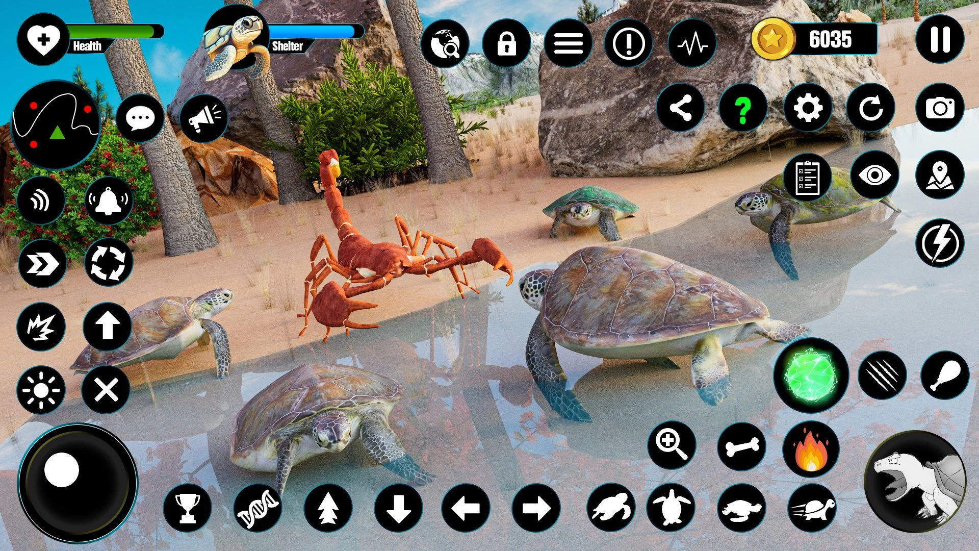 Wild Turtle Family Life games screenshot
