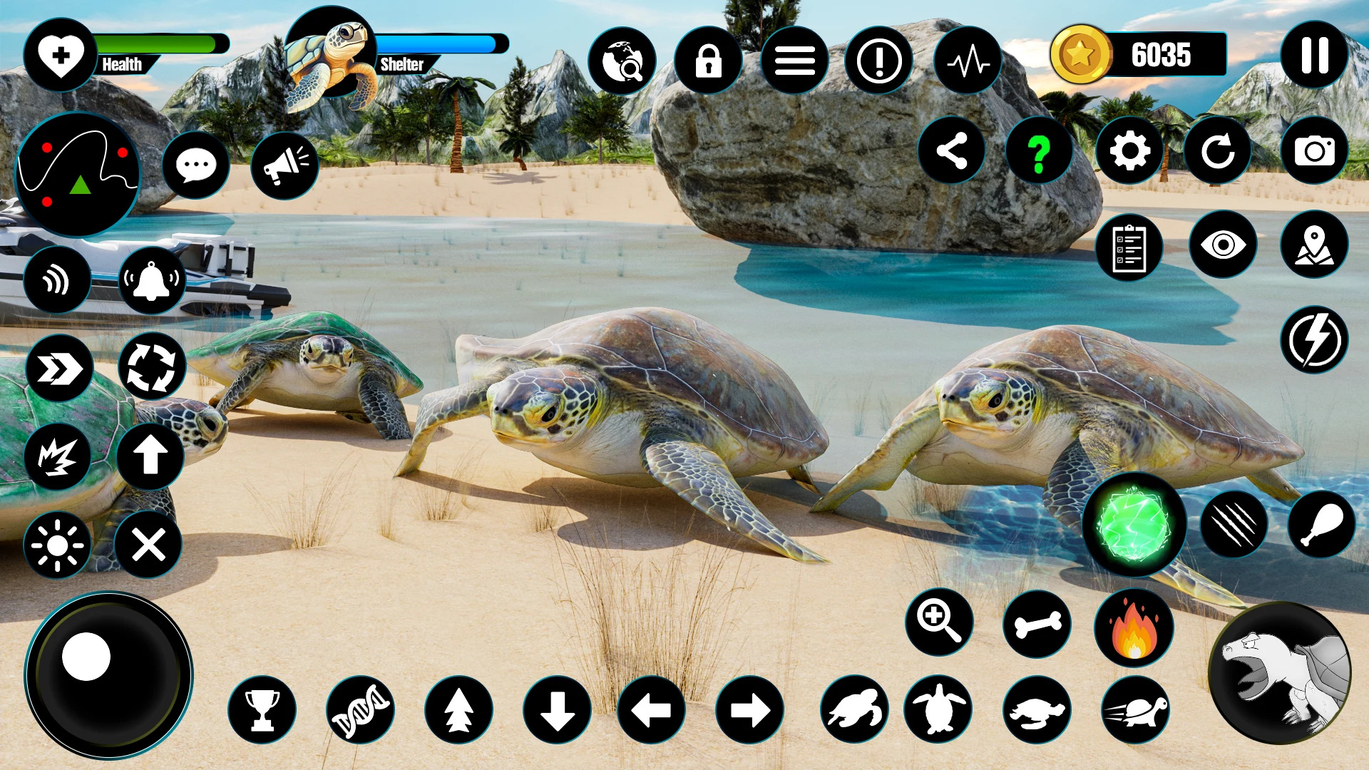 Wild Turtle Family Life games screenshot