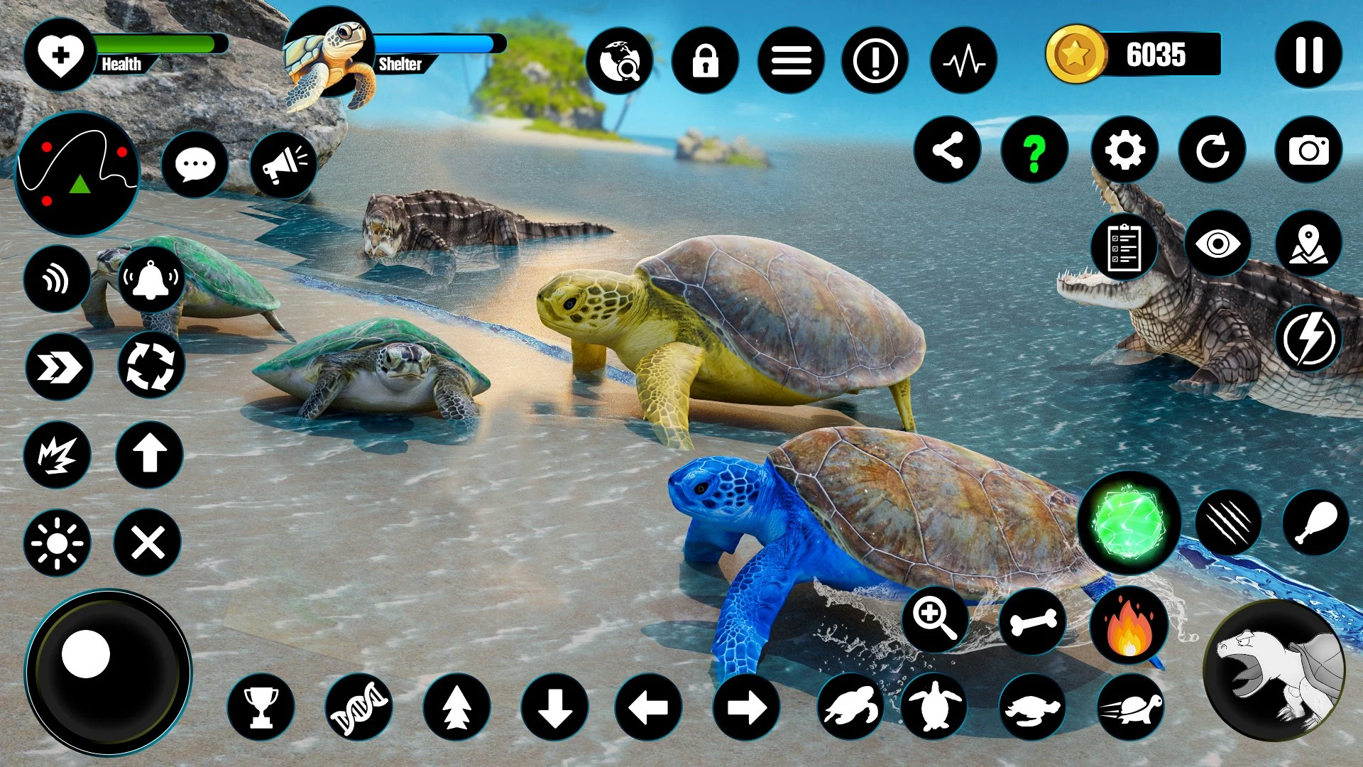 Wild Turtle Family Life games screenshot